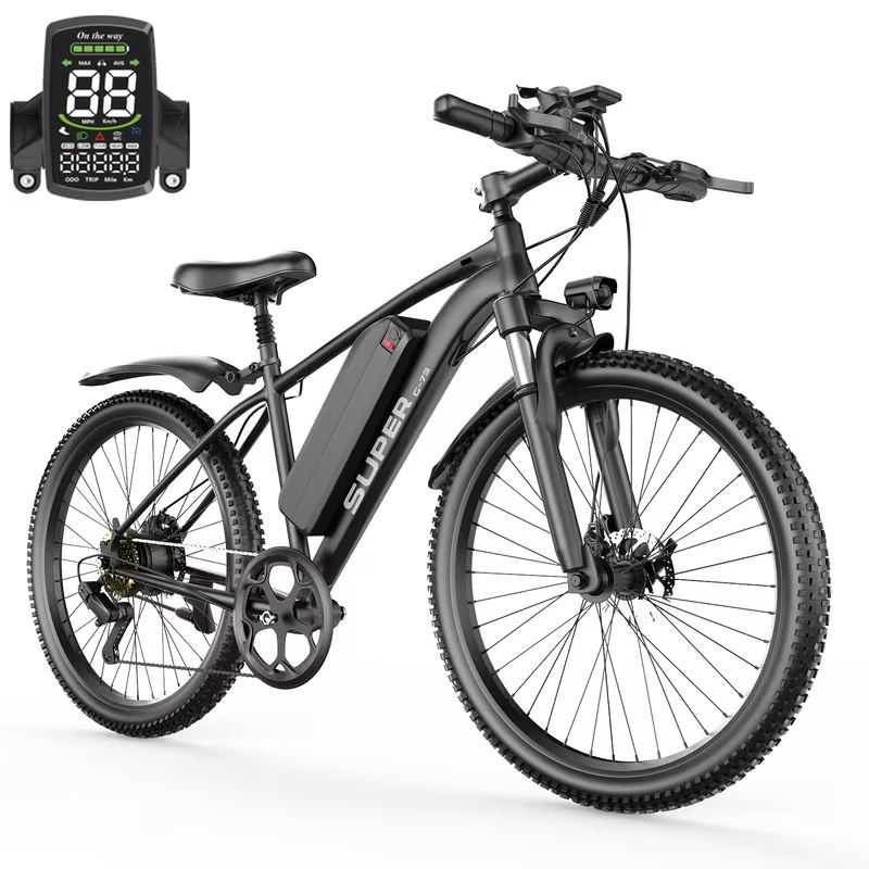 Adult Electric Bicycle
