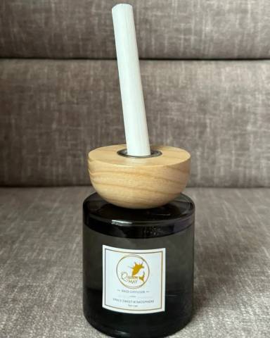 PREMIUM REED DIFFUSER- Car